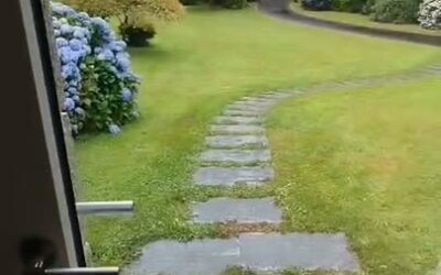 Nouvelle-installation-Porte-dentree-MeO-–-Modele-Cybelle-1-1604571487566261-400x250